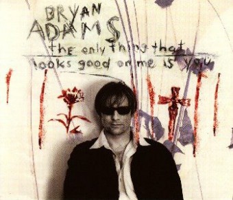 The Only Thing That Looks Good on Me Is You (Bryan Adams)