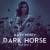 Dark Horse - Katy Perry