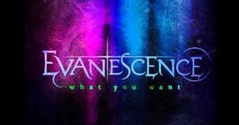 What You Want (Evanescence)